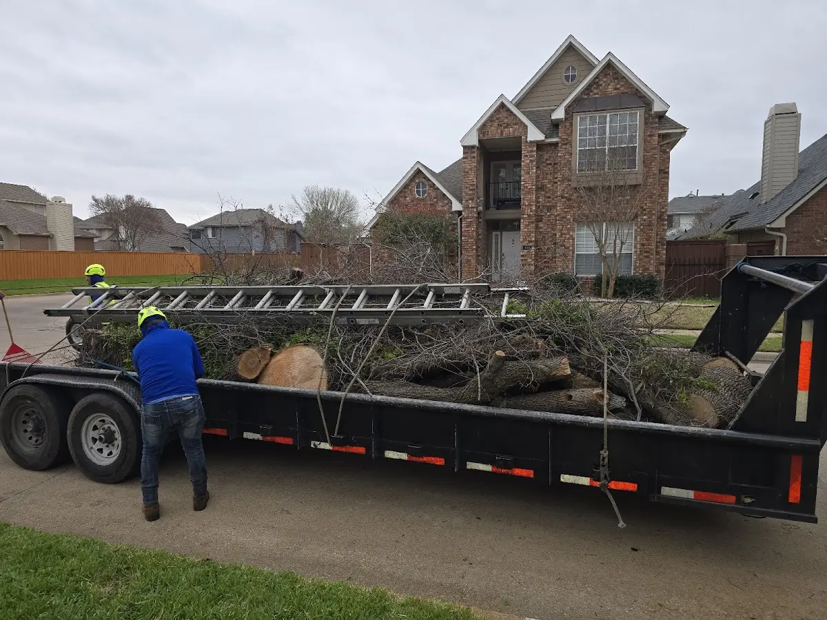Expert Lot Clearing with proper safety equipment in Marathon
